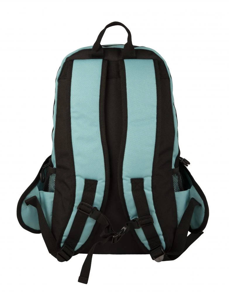 Santa Cruz Classic Label Skatepack Bag - Turquoise - Image 2